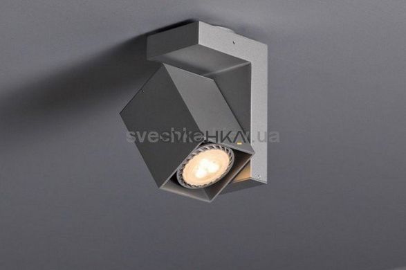 Настінно-стельовий світильник Labra Deco 2-0225